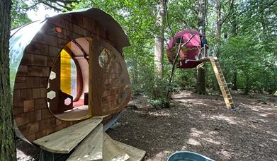 The Strawberry Lane Tree Tent and the living pod