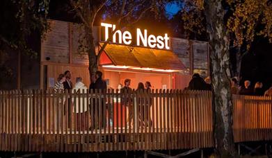 The Nest at CFT: people at an illuminated bar