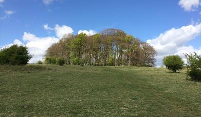 The Chanctonbury Ring