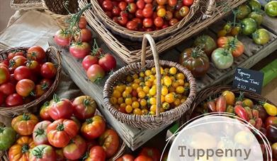 Tuppenny Barn tomatoes