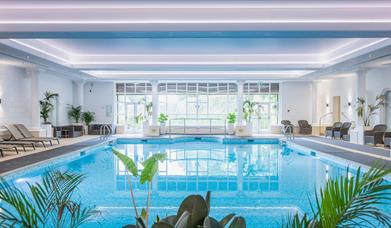 the swimming pool at Goodwood Health Club