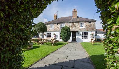 A view of a the spotted cow from outside