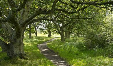 Chichester Harbour footpath