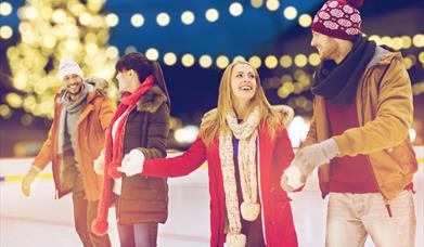 Ice Skating at Seal Bay