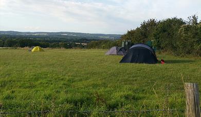 manor farm camping