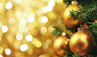 Selsey Christmas Lights Switch On 2025