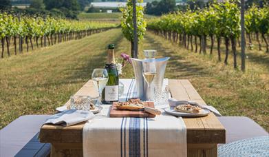 Vineyard Experiences at Roebuck Estates