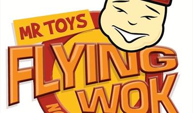 Mr Toys Flying Wok Noodle Bar