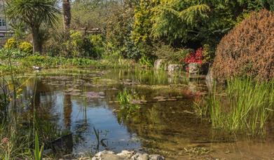 Garden at Cookscroft Earnley - Judi Lion