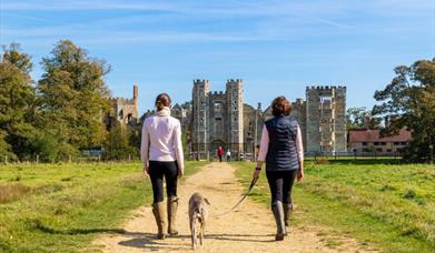 Walkers and a dog in front of the Cowdray ruins in Midhurst